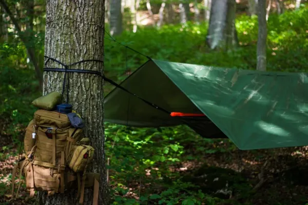 img of Sobrevivência na Natureza: Guia Prático para Aventureiros