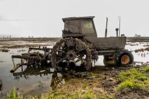 Imagem de Sustentabilidade e Tecnologia Verde: Avanços e Impacto